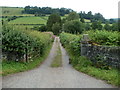 Access road to Tredustan Hall near Defynnog