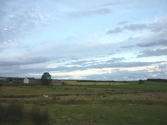 Pasture land at Moss Peteral