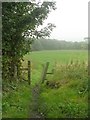 Footpath - Ghyll Beck Drive