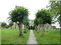 A tree lined path up to St John the Evangelist, Whitchurch