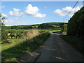 View along lane near Fostall