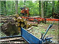 Wealden Wood Industry