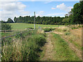 View along bridleway to Venson Bottom