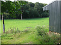 Field from the bridleway through Nightingale Woods