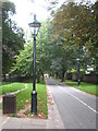 A tree-lined avenue leading to Holland Park from Kensington High Street