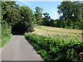 View along School Road towards Tilmanstone