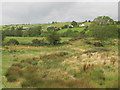 Former gravel workings in the Carcullion Valley