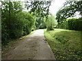 Concrete road and bridleway to Yokehurst