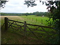 Weald Between Plaistow and Loxwood