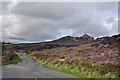 Ramshaw Rocks - Blackshaw Moor