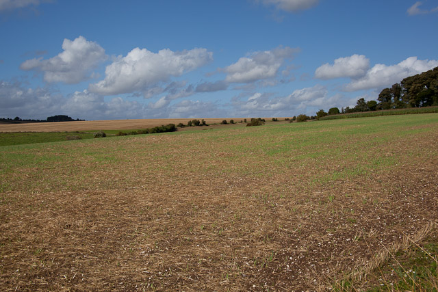 Field west of Hydes Cottages, Fawley Lane