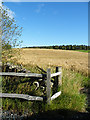 Field Entrance near St James