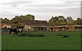 Paddock, Horses, Farm Buildings