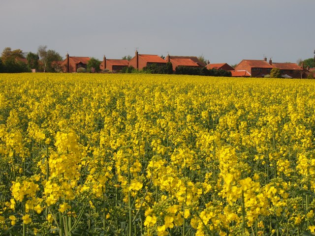 Over the Crop to Cropwell