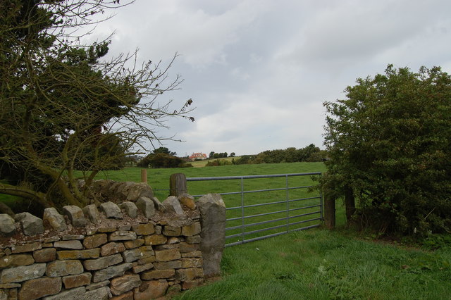 View over a gate near Rudda Farm