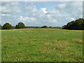 The mill mound in Mill Field