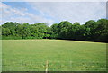 Field by the Arun Valley Line