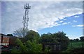 Telecommunication Mast , Billingshurst