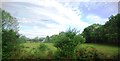 Farmland on the edge of Billingshurst