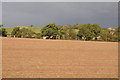 Farmland at Forthampton