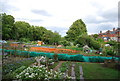 Harbourne Rd Allotments