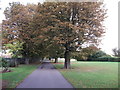 Path in Sutcliffe Park