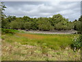 Weeping Cross kettle hole