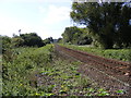 Railway Line to Melton Station