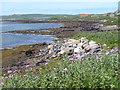 Foreshore at Malacleit