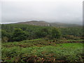 View from Ffestiniog Railway near Penrhyn