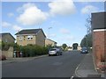 Hodgson Lane - viewed from Whitehall Grove