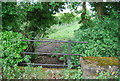 Farm track below the Downs Link