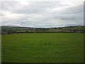 Pasture above Tebay