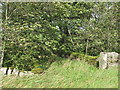 Bridge over the north defensive ditch of Hadrian