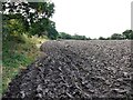 Ploughed field east of Mickley Square