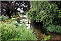 The Little Stour River, Wickhambreaux, Kent