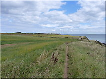 TA2369 : Along the Headland Way at East Nook by Richard Law