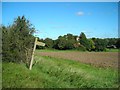 Footpath and church at Shalford