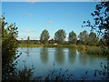 Fishing Lake and Church, Shalford