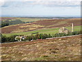 Moorland above Ramshaw