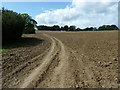 Footpath winding its way across ploughed field