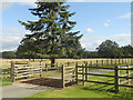 Cattle grid at Stretton Hall