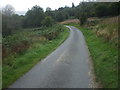 Road beside Mynydd Dimlaith Common