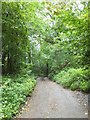 Woods around Duvale Quarries