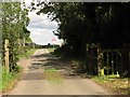 Cattle grid on the edge of Chippenhall Green