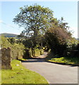 Access road to Grove Farm, Llanfoist