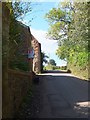 The road through Cotleigh