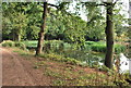 Fishing Pond near Seven Spouts