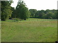 Grazing land off Bannister Lane