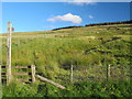 Footpath from Wagtail to Townfield